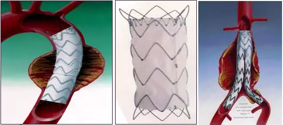 生物医疗产品测试